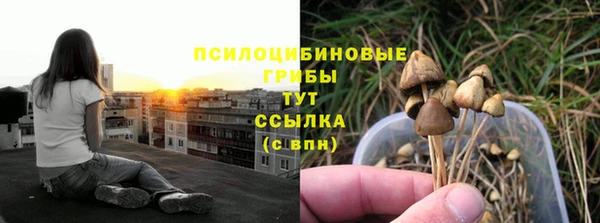 Альфа ПВП Покров