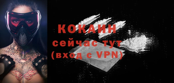дживик Кропоткин